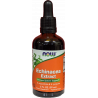 NOW Foods, Echinacea Extract, (59 ml)