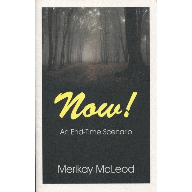 NOW! An End-Time Scenario