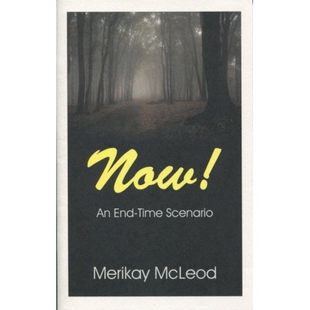 NOW! An End-Time Scenario