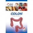 Colon - Pocket Book