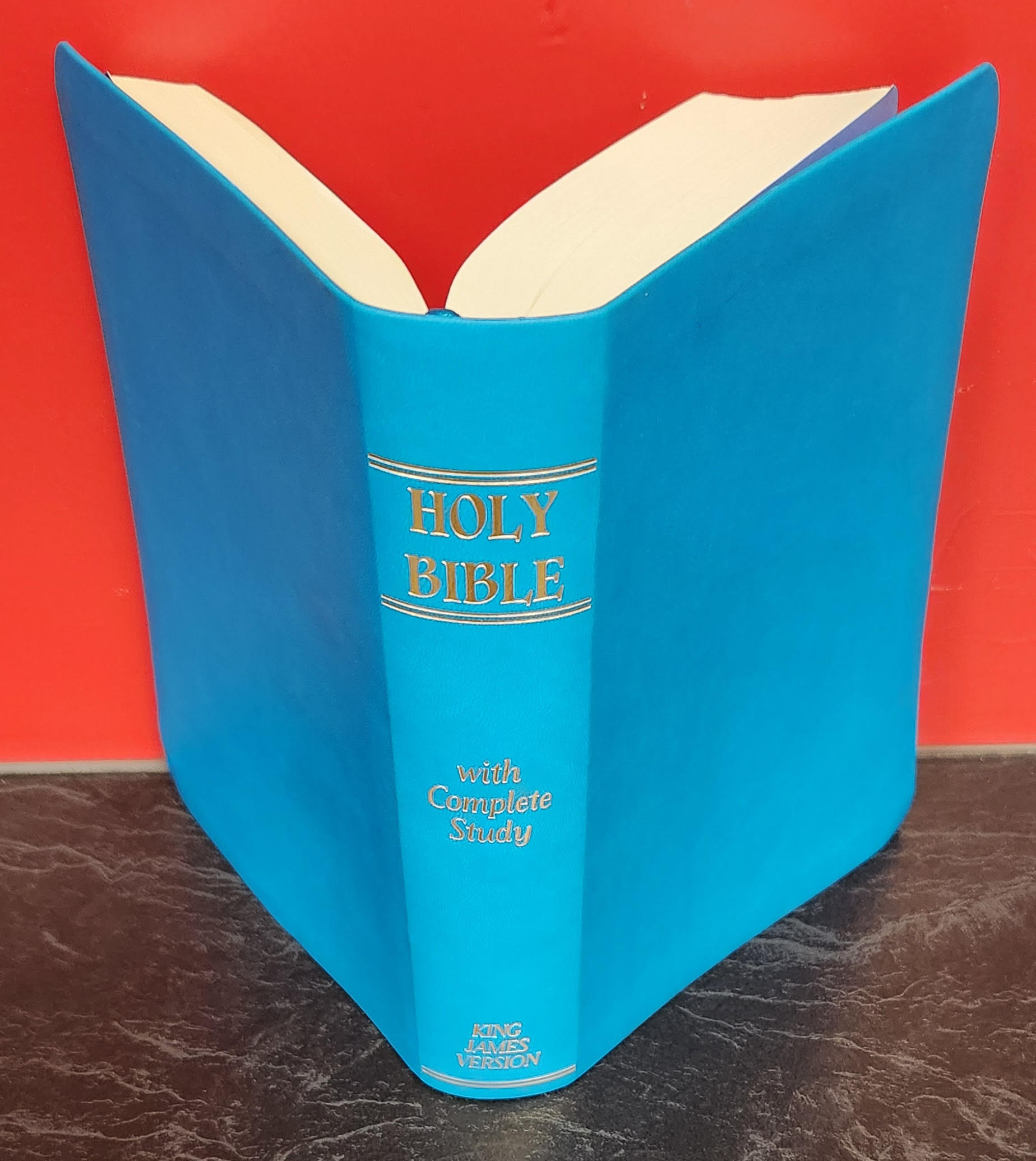 KJV Blue Bible - Box of 20