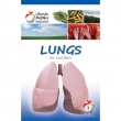 Lungs - Pocket Book