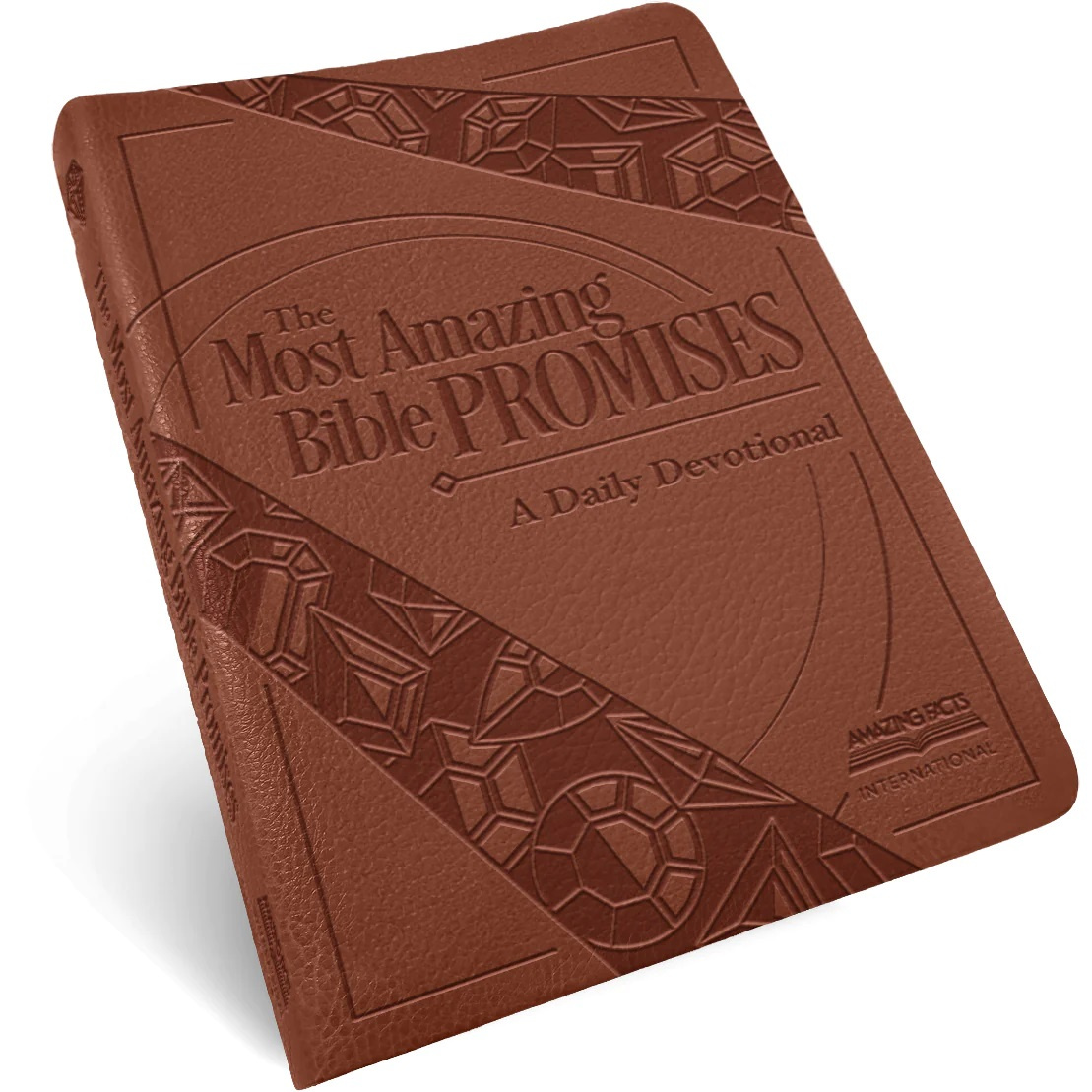 The Most Amazing Bible promises, a Daily Devotional