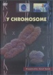 Y Chromosome