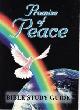 Promise of Peace Bible Study Guide