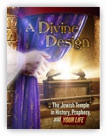 A Divine Design Magazine