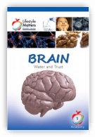 Brain - Water and Trust