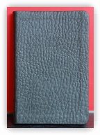 Compact Ultraslim KJV Pocket Bible 