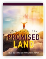 Journey to the Promised Land book