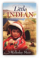 Little Indian 
