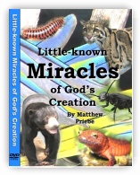 Little-Known Miracles of Godâ€™s Creation 