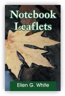 Notebook Leaflets