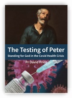The Testing of Peter - DVD