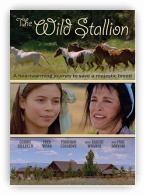 Wild Stallion