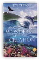 Amazing Wonders of Creation