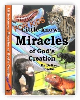 Little-Known Miracles of God's Creation - For Kids 