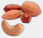 Health Fact 4